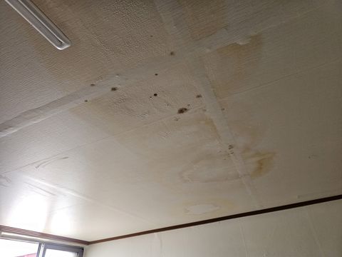 누런 얼룩과 검은 점이 번진 천장 판과 한쪽의 형광등